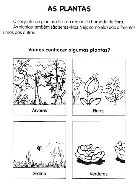 Atividades sobre plantas educação infantil