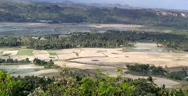 Melayang Di Wanokaka Sumba Barat