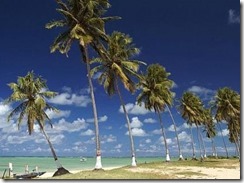 {6a51ca58-cb3c-4e84-a448-06c23135ae6c}_sao miguel dos milagres {6a51ca58-cb3c-4e84-a448-06c23135ae6c}_sao miguel dos milagres