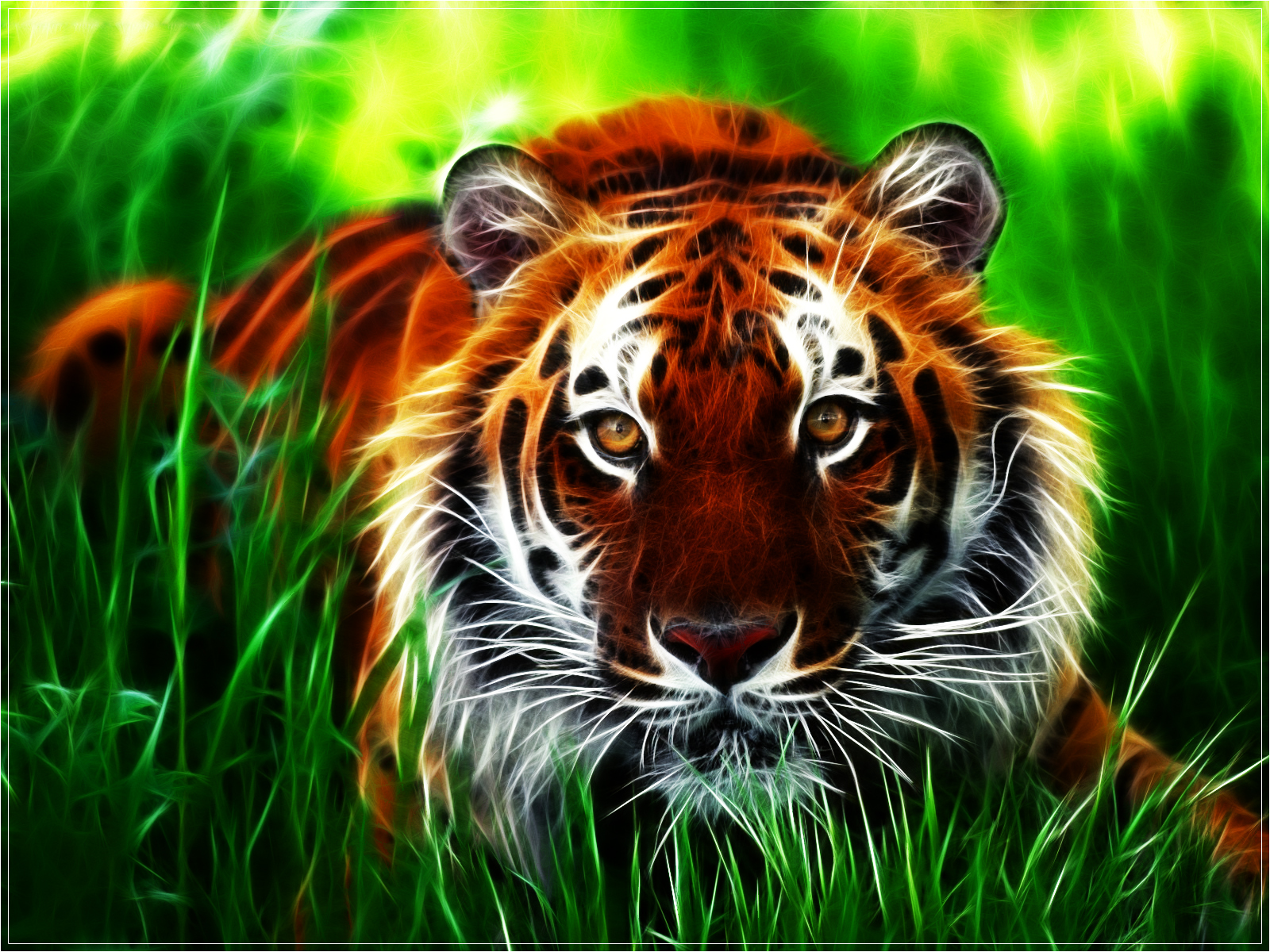 3D Tiger