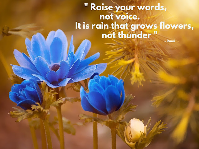 Beautiful Spiritual  quote for raising words from Rumi