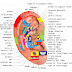Memijat Telinga Efeknya Sama Seperti Memijat Seluruh Badan, Ini Caranya!