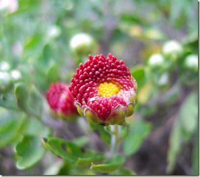 DSCN0418