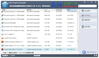 程式移除工具 Wise Program Uninstaller Portable 中文版免安裝