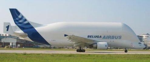 Beluga Airbus