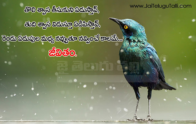 Here is a Telugu Life Quotes, Life Thoughts in Telugu, Best Life Thoughts and Sayings in Telugu, Telugu Life Quotes image,Telugu Life HD Wall papers,Telugu Life Sayings Quotes, Telugu Life motivation Quotes, Telugu Life Inspiration Quotes, Telugu Life Quotes and Sayings, Telugu Life Quotes and Thoughts,Best Telugu Life Quotes, Top Telugu Life Quotes.