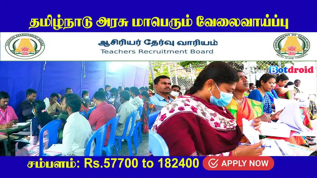 TN TRB Assistant Professor Recruitment 2024, Apply Online for TRB Job Vacancies