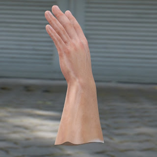 3d model male hand