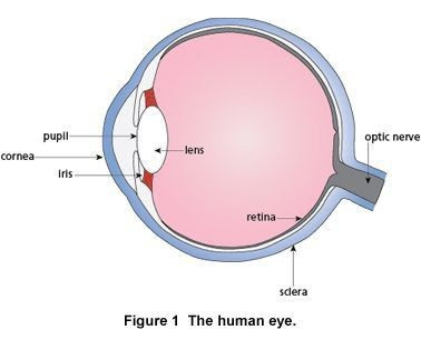 Simple eye diagrams | Easy eye diagram | Labeled eye diagram