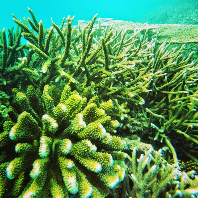 Surga Baru dari Pulau Tuan, Aceh Besar