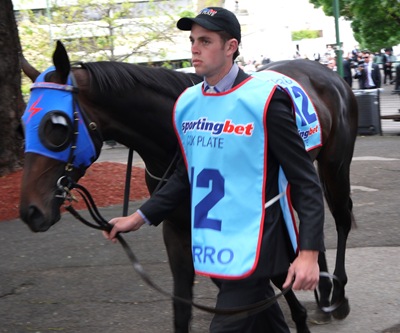 pierro1