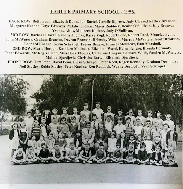 Tarlee Primary School 1955