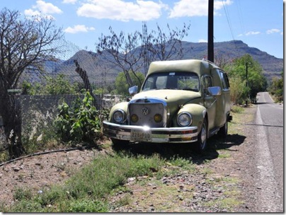 800x600_beetlebus_2_0