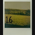 "16", o inquieto e caloroso novo single dos The Kites