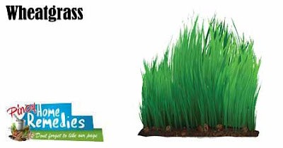 Top 10 Foods That Help You Smell Nice: Wheatgrass