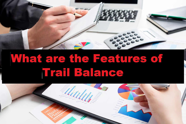 What are the Features of Trail Balance - Basic Accounting