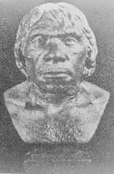 Restorasi manusia Neander
