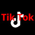 TikTok Ban In India Here's How Much 'Money' and Users Lost 