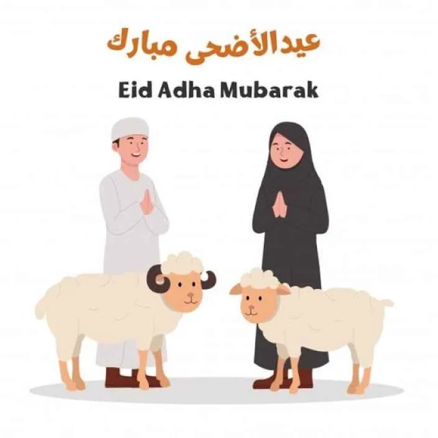 خروف عيد الأضحى المبارك