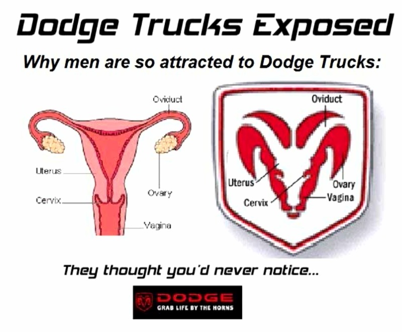 dodge uterus