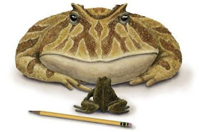 giant frog