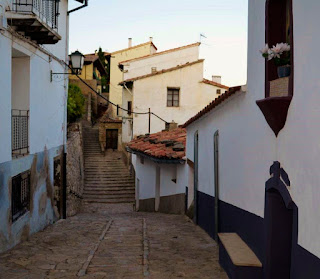 Morella