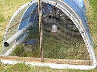 New Duck Coop looking inside