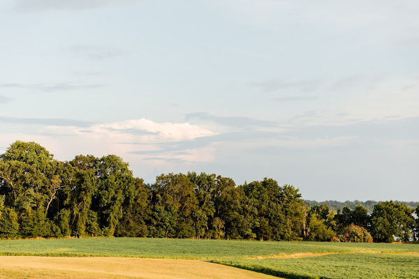 Summer Wedding at Brittland Manor photographed by Maryland Wedding Photographer Heather Ryan Photography