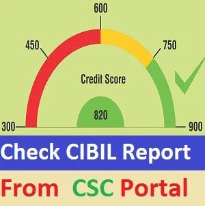 CIBIL SCORE Report