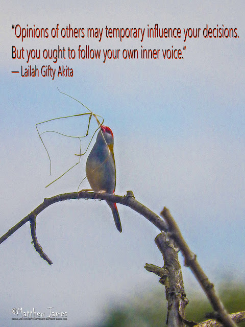 'Opinions of others may temporary influence your decisions. But you ought to follow your own inner voice' - Lailah Gifty Akita