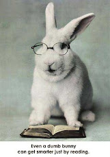 funny smart rabbit funny pics of anything