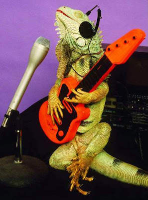 Lizard posing with guitars