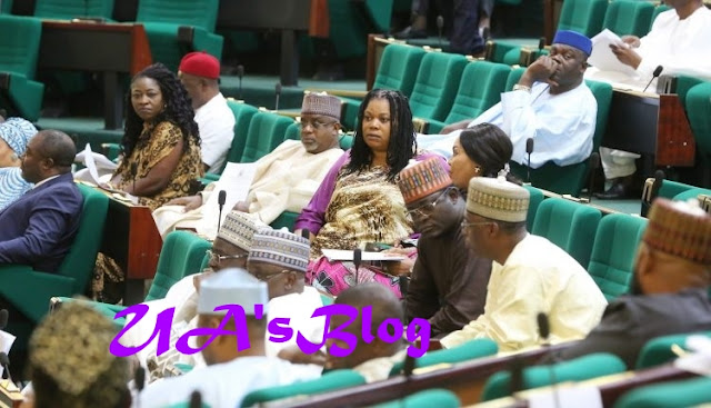 House Of Reps Member Stoned, Chased Out Of Constituency