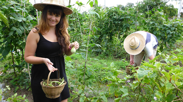 Thai Secret Cooking Class & Garden Farm Tour