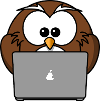 busy owl