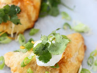 CHICKEN ENCHILADA EMPANADAS