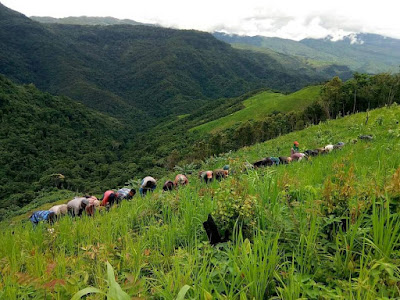 jhuming in mizoram