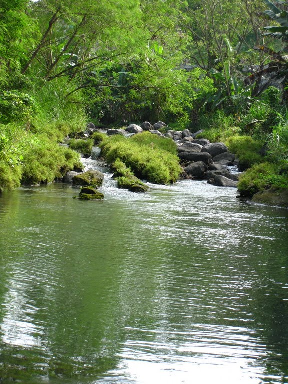 My fishing trip pemandangan  sungai bagus 