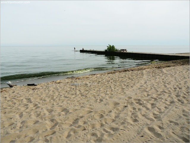 Aguas Verdes en las Playas de las Islas de Toronto 