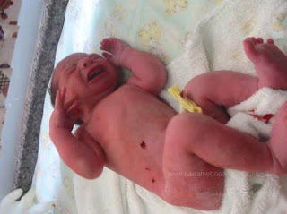 c3 Kebesaran Allah, bayi keluar dari dalam lumpur