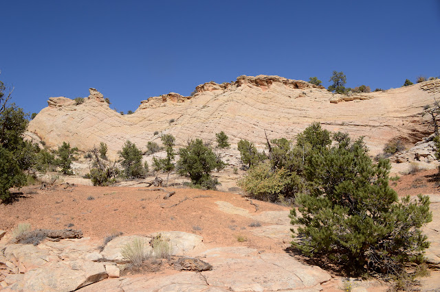 hashed wall topped with tiny overhangs