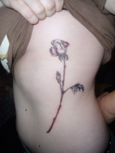 Rose Drawing Tattoo