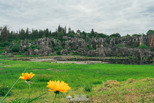 昆明石林 Kunming Stone Forest Scenic Spot