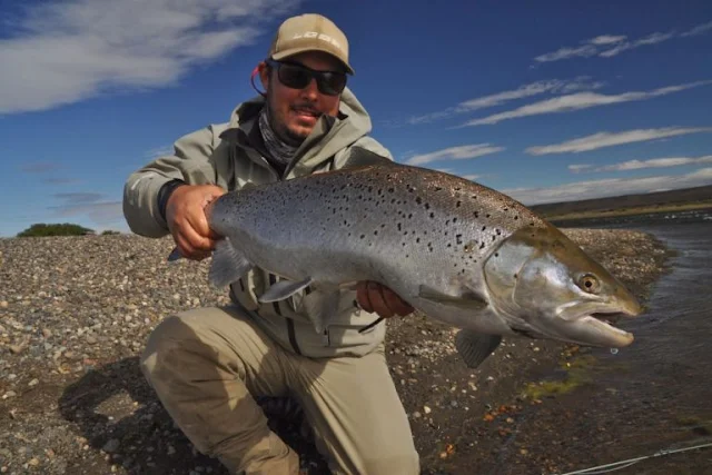 Las Buitreras Lodge – Rio Gallegos, Argentina