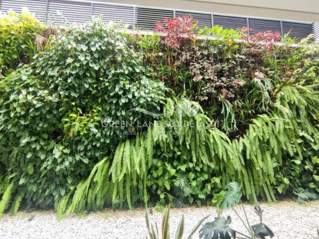 Tukang Taman Vertikal Langsa - Harga Pembuatan Vertical Garden 2025