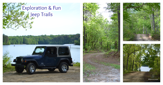 Natchez Trace State Park