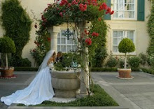 Weddings at the Lafayette Park Hotel & Spa