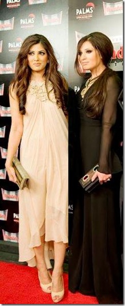pic2[1]