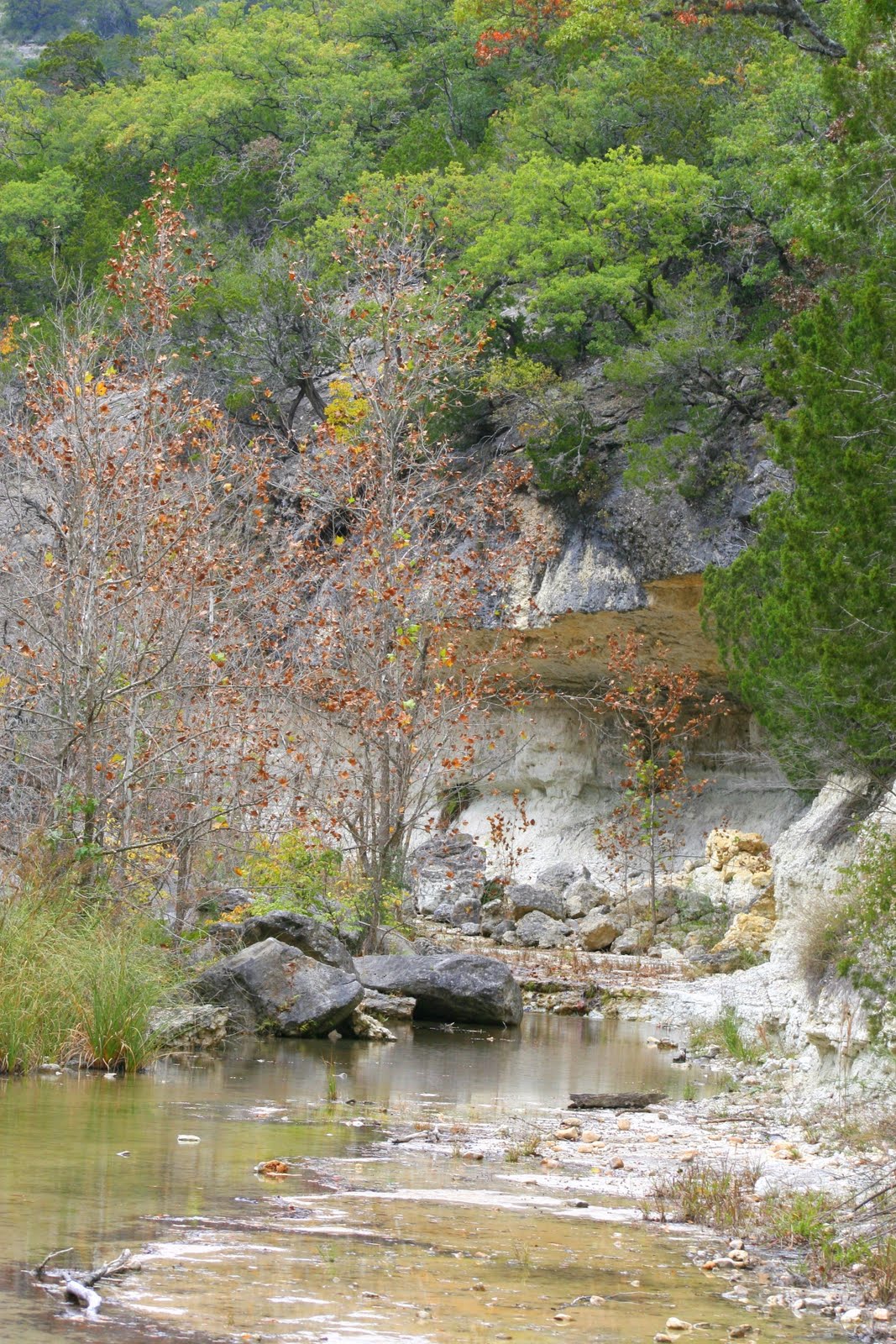 Happy Texans Camping at Lost Maples State Park  Chillin 