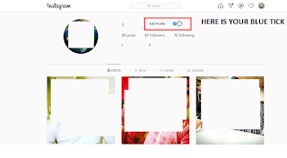 INSTAGRAM BLUE TICK HACK,INSTAGRAM